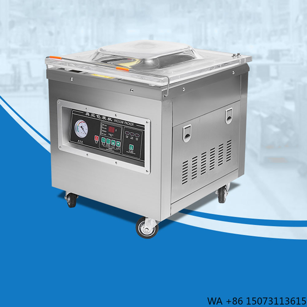 Dz-400 전문가용 데스크탑 진공 포장기 자동 상품/ - Food Vacuum Sealer 리뷰 및 가격