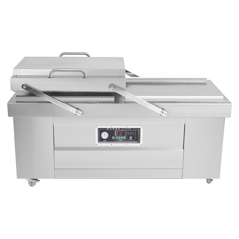 이중 진공 밀봉 DZ-800-A 포장기 - 식품 보존  - Food Vacuum Sealer 리뷰 및 가격