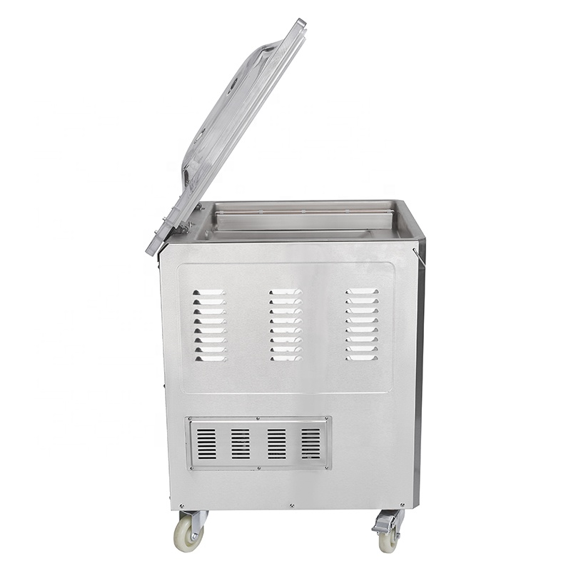 푸베이 DZ-500 2Evacuum 실러/단일 챔버 진 - Food Vacuum Sealer 리뷰 및 가격